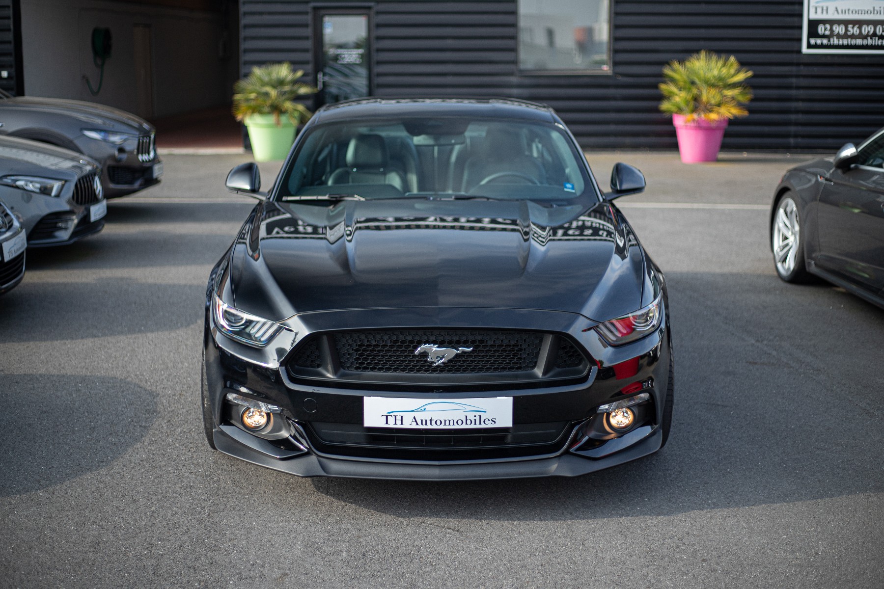 FORD MUSTANG VI FASTBACK 5.0 V8 GT BVA6 