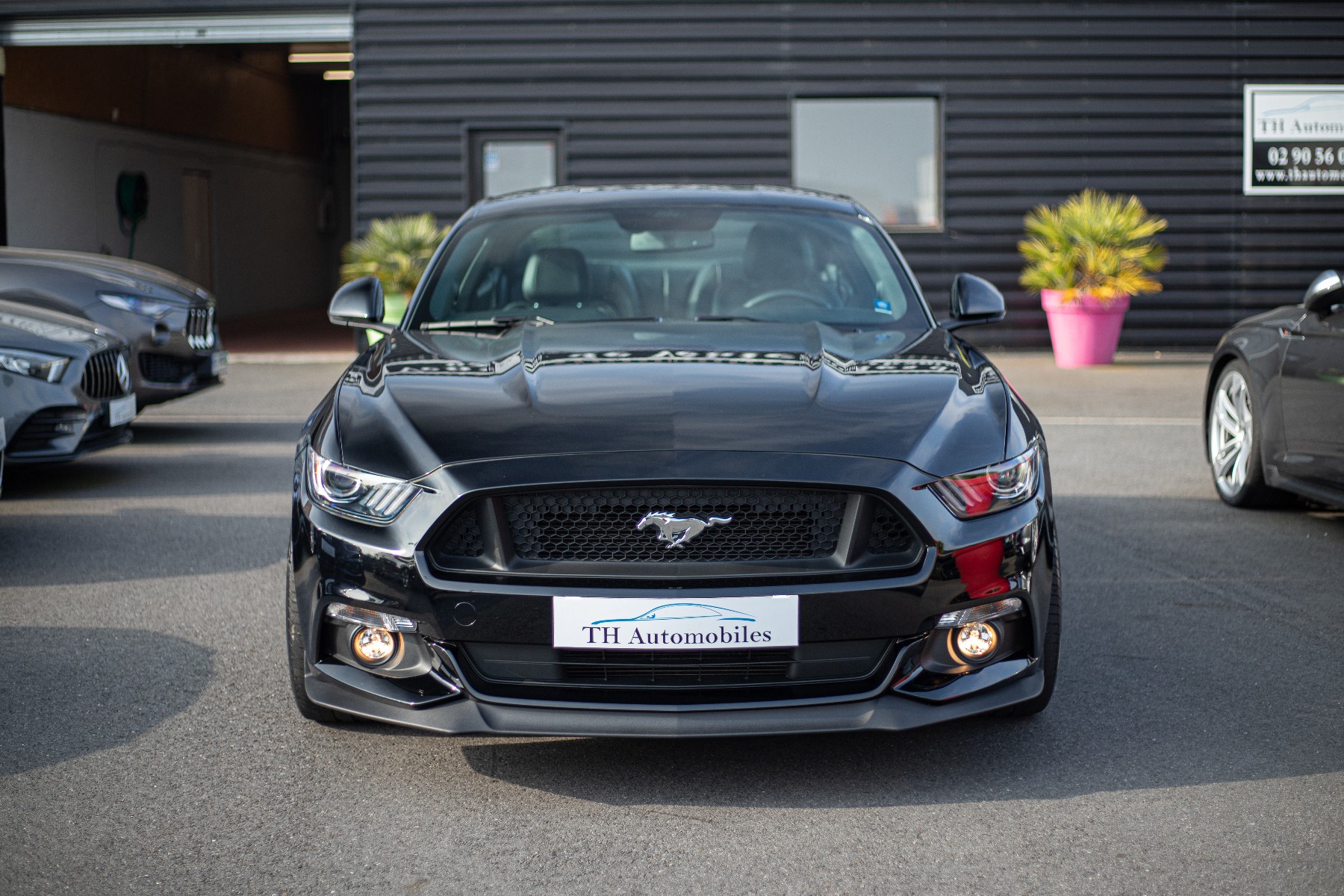 FORD MUSTANG VI FASTBACK 5.0 V8 GT BVA6 