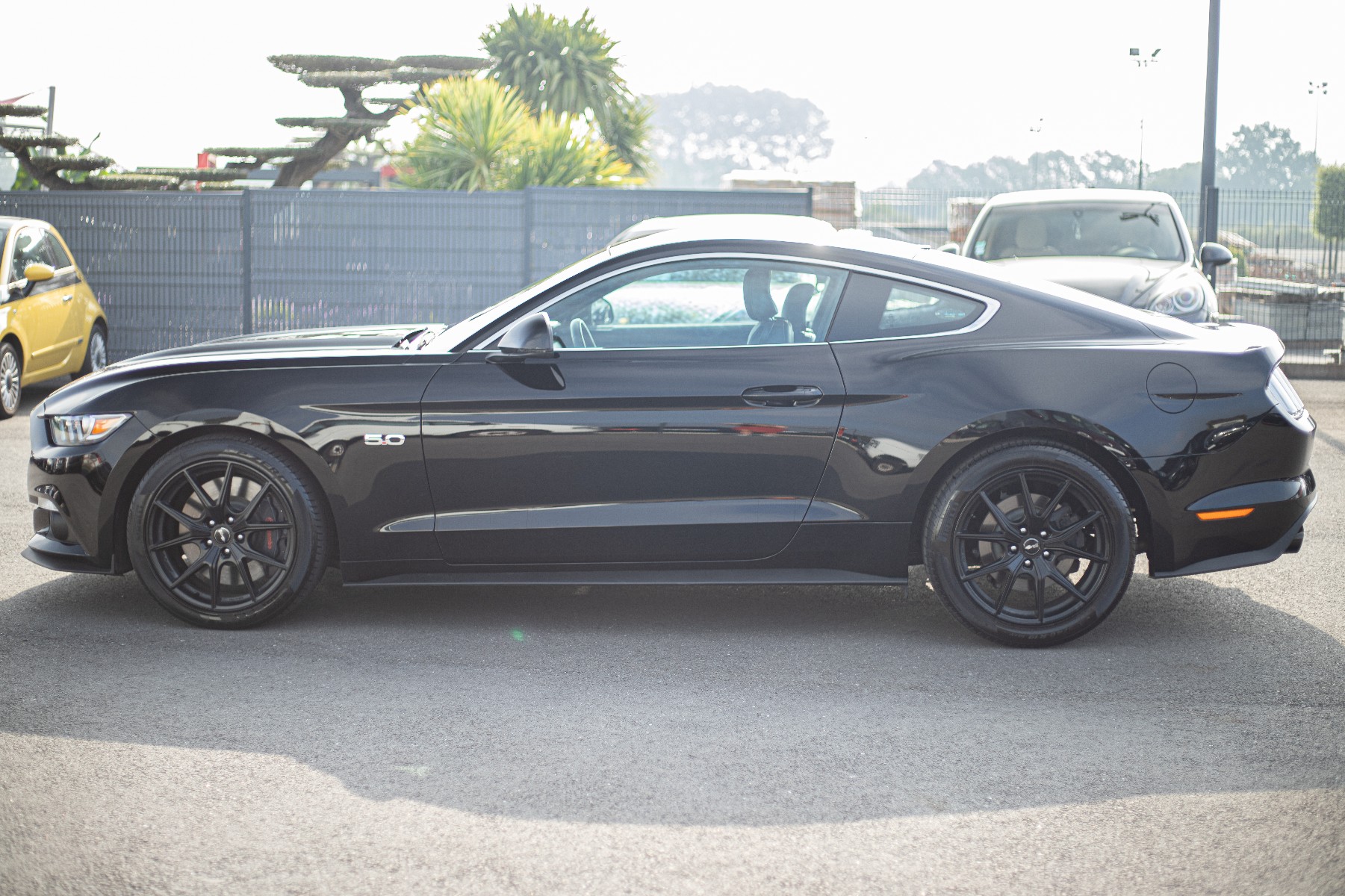 FORD MUSTANG VI FASTBACK 5.0 V8 GT BVA6 