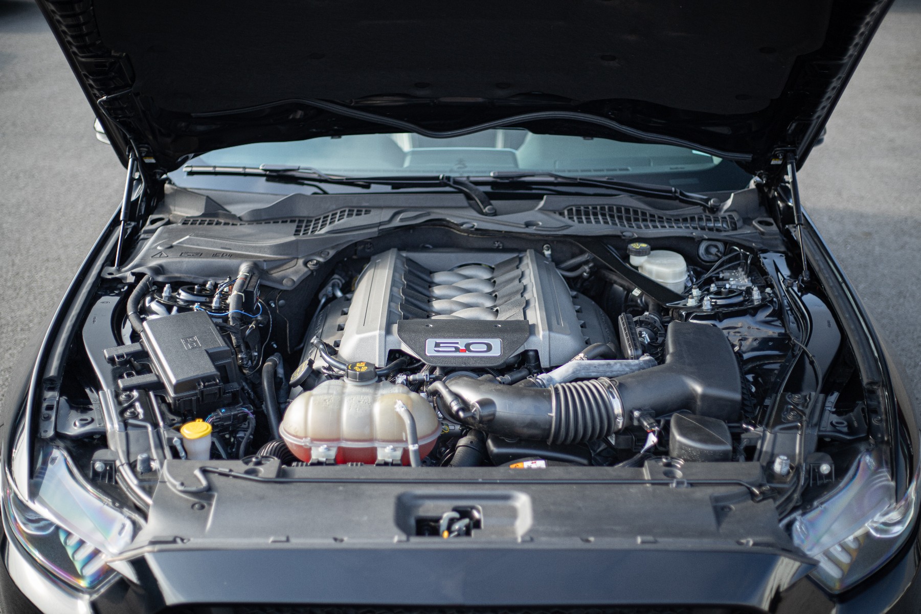 FORD MUSTANG VI FASTBACK 5.0 V8 GT BVA6 
