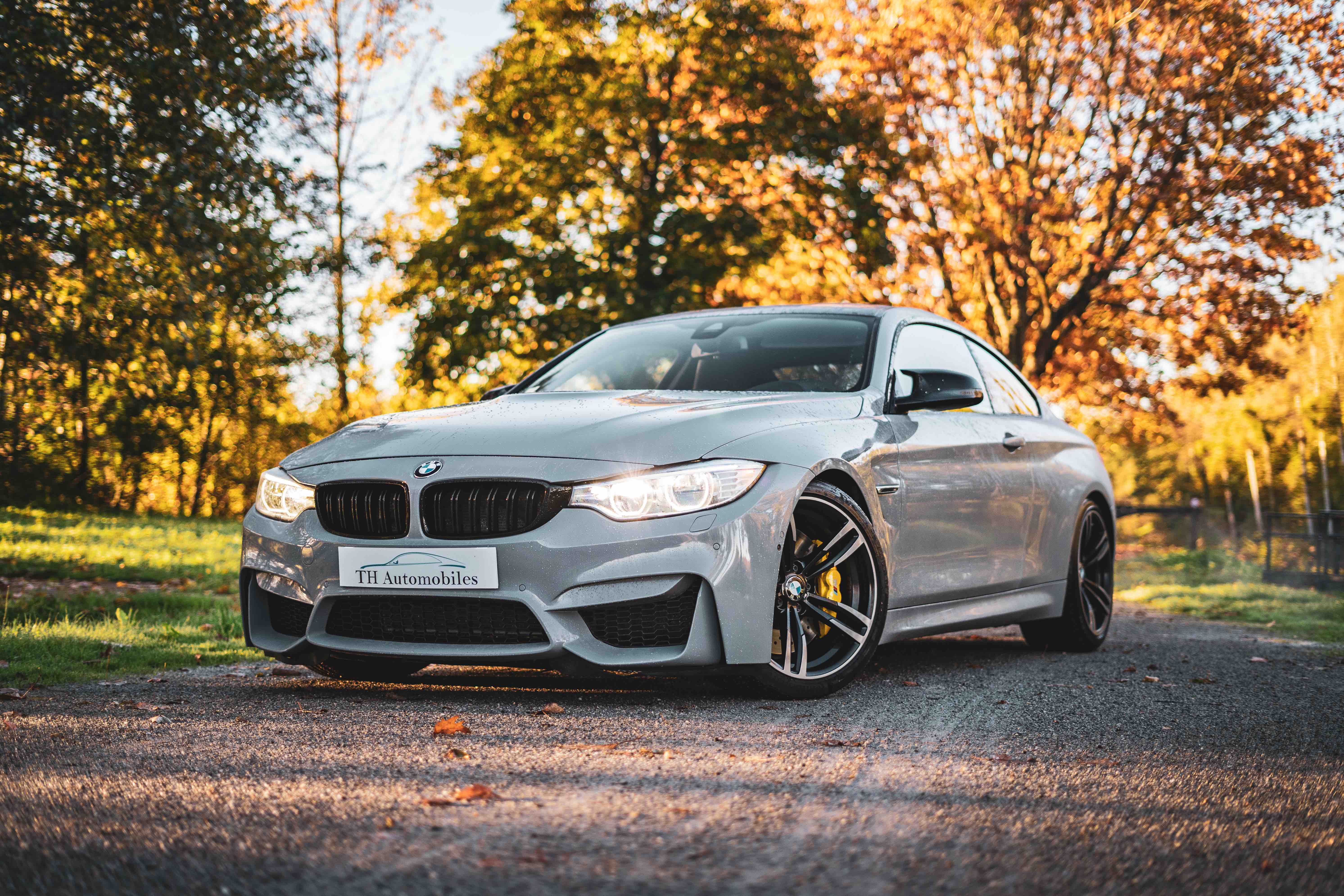 BMW M4 GRIS NARDO