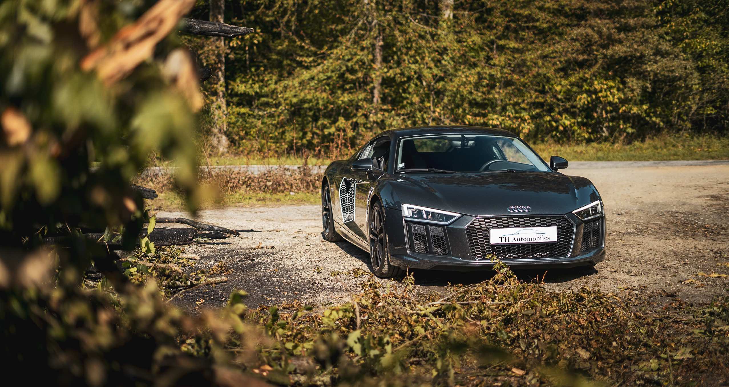 Audi R8 V10 RWS